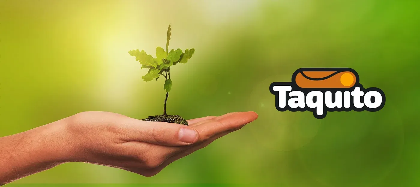 Using Sapling with Taquito
