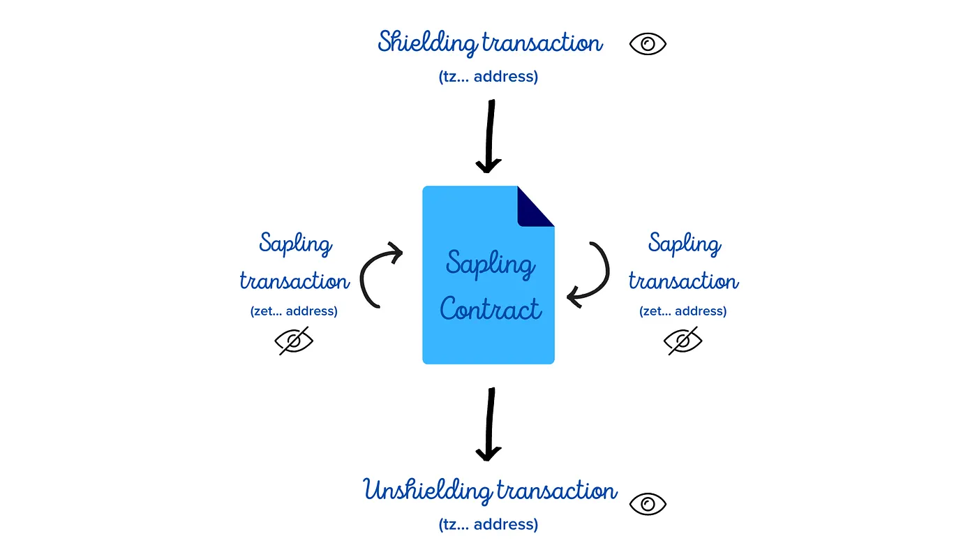 a diagram explaining the flow of sapling transactions